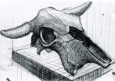 Karl-Henning Seemann: Rinderschädel
