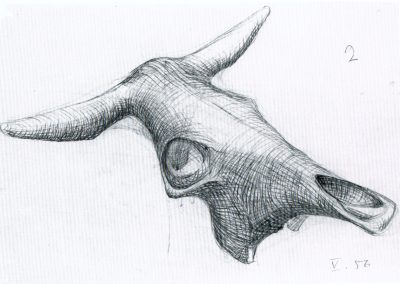 Karl-Henning Seemann: Rinderschädel