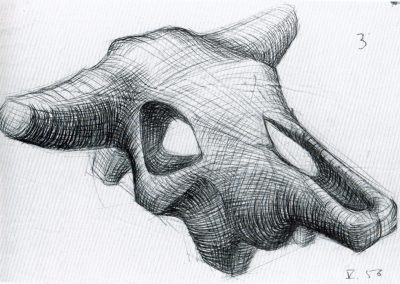 Karl-Henning Seemann: Rinderschädel