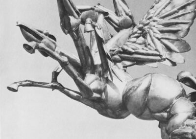 Karl-Henning Seemann: Vierdimensionaler Pegasus in Braunschweig