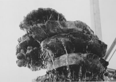 Karl-Henning Seemann: Pflanzenbrunnen