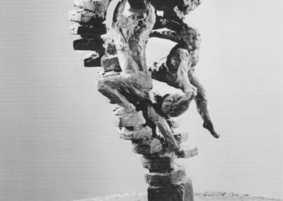 Karl-Henning Seemann: Pflanzenbrunnen