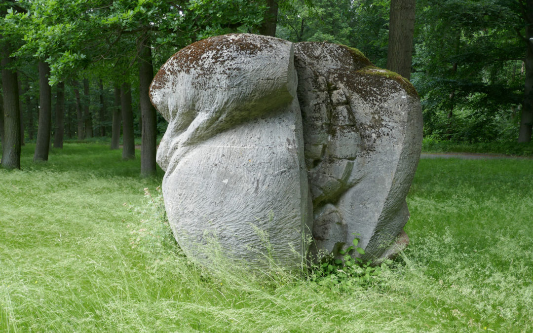 Braunschweig: Zelle und Molekuel